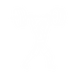 Supports Testosterone Levels